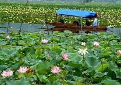 Dal Lake is filled with some amazing floating gardens which are locally called 